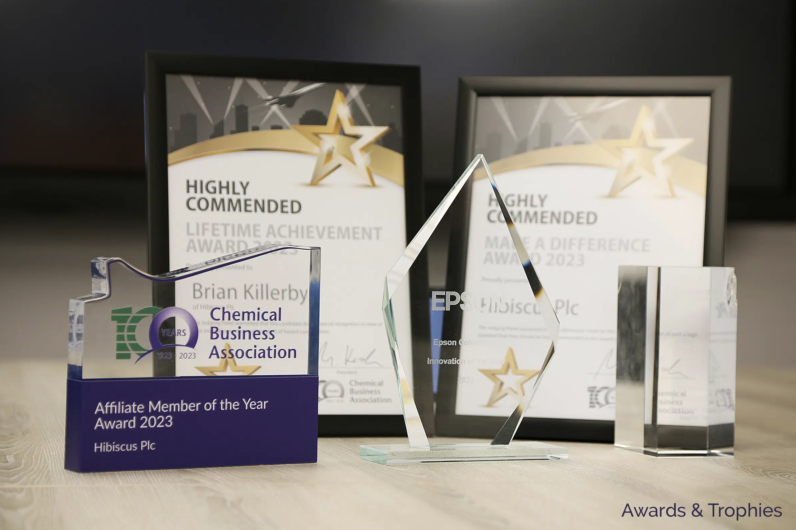 AWARDS-trophies