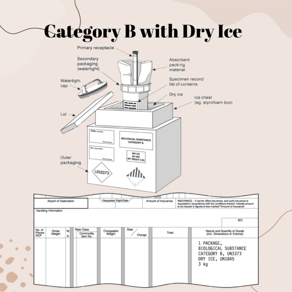Category B with Dry Ice